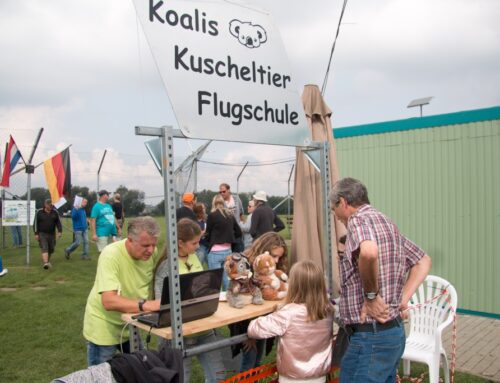 Süssigkeitenbomber und Kucheltierfliegen